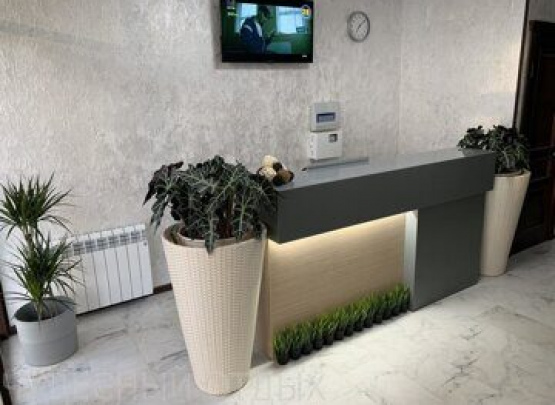 Слон, Отель,  п. Лазаревское 2